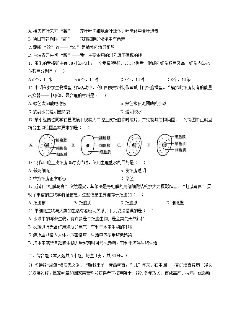 江西省赣州市经开区2025-2026学年七年级上学期期中考试 生物试题第3页