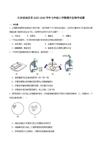 江西省南昌市2025-2026学年七年级上学期期中考试 生物试卷