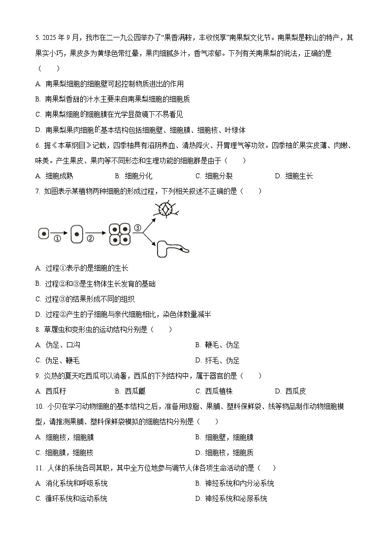 辽宁省鞍山市铁西区2025-2026学年七年级上学期期中 生物学试题第2页