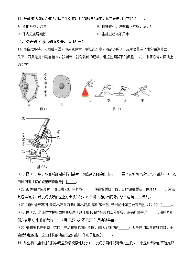 辽宁省鞍山市铁西区2025-2026学年七年级上学期期中 生物学试题第3页