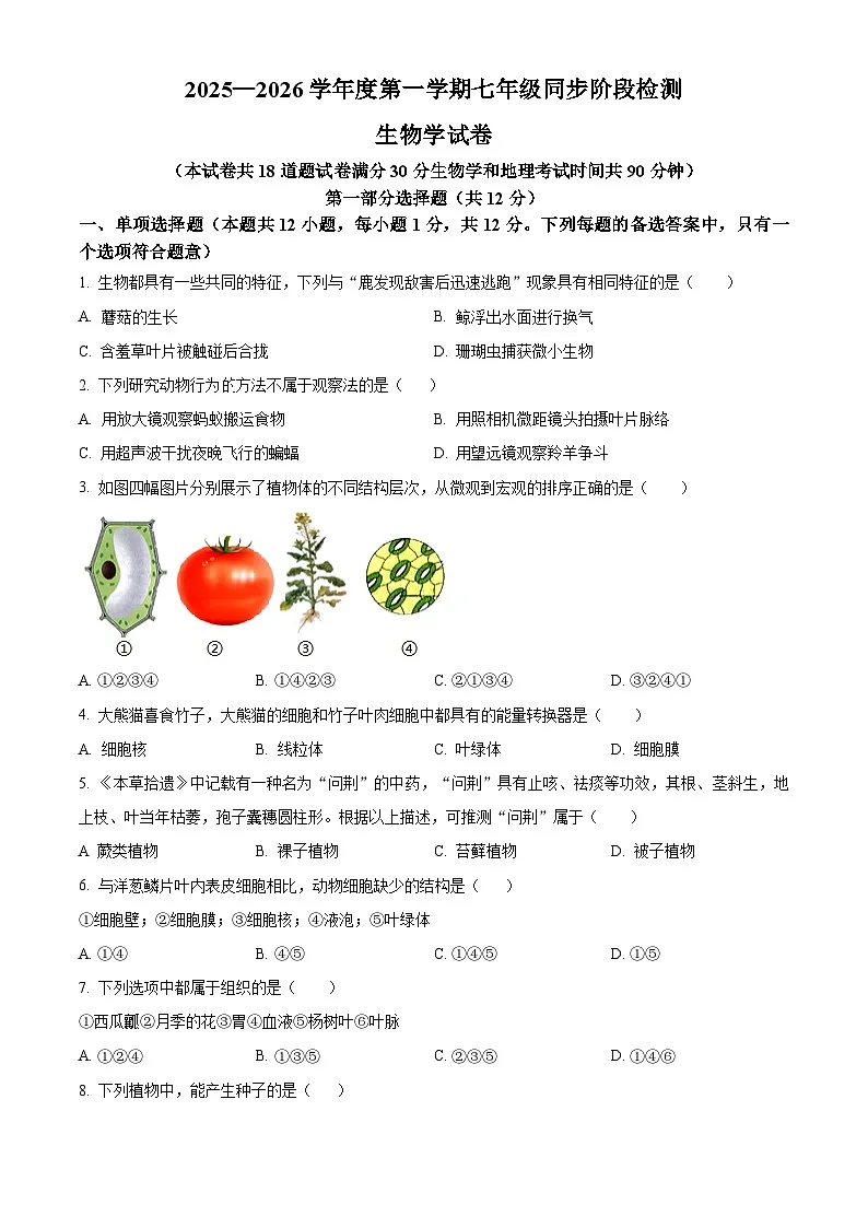 辽宁省葫芦岛市龙港区2025-2026学年七年级上学期期中 生物学试题第1页