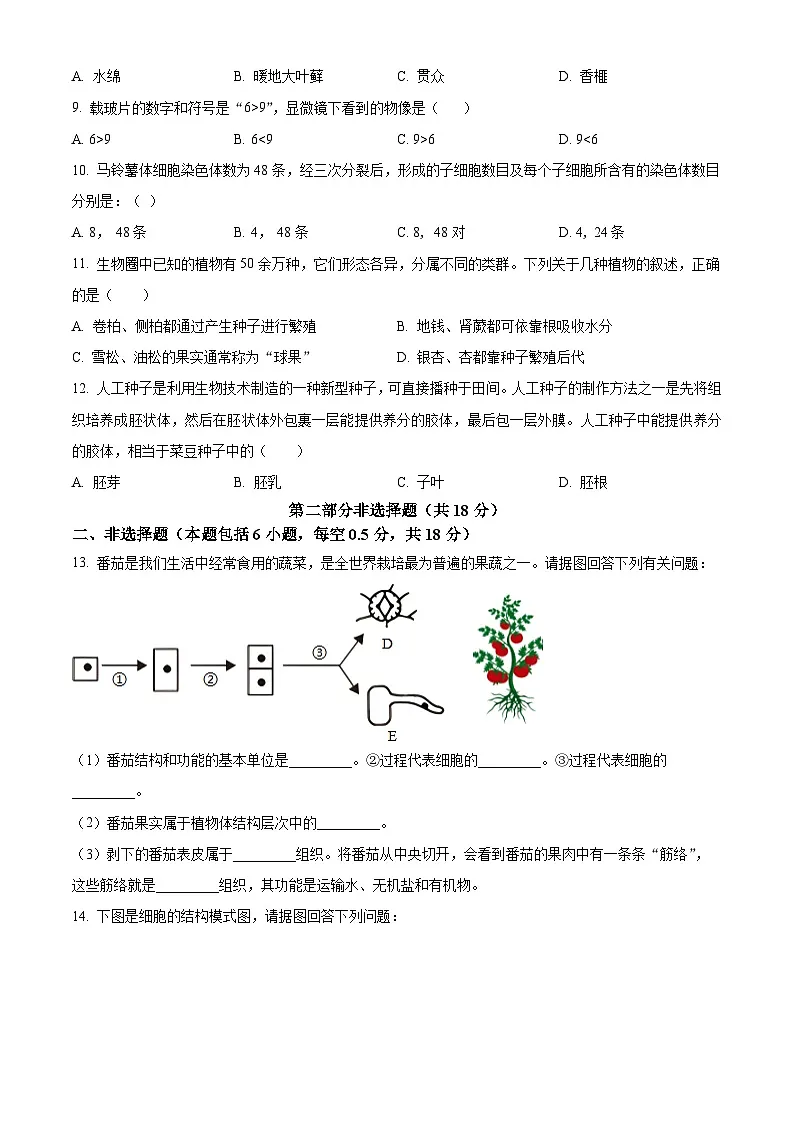 辽宁省葫芦岛市龙港区2025-2026学年七年级上学期期中 生物学试题第2页