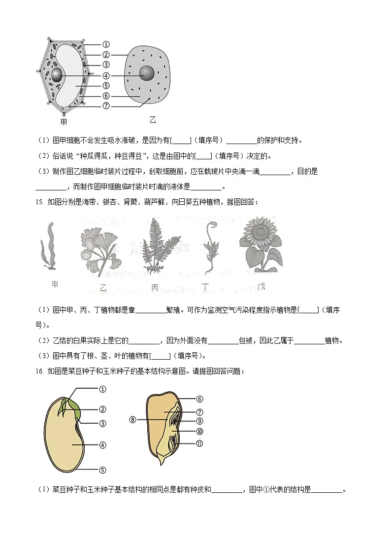 辽宁省葫芦岛市龙港区2025-2026学年七年级上学期期中 生物学试题第3页