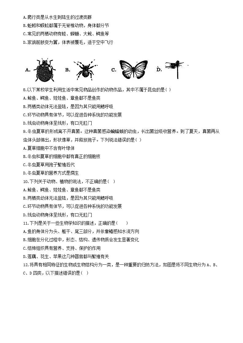 辽宁省沈阳市虹桥中学2025-2026学年七年级上学期 生物期中试卷第2页