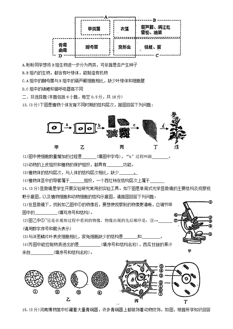 辽宁省沈阳市虹桥中学2025-2026学年七年级上学期 生物期中试卷第3页