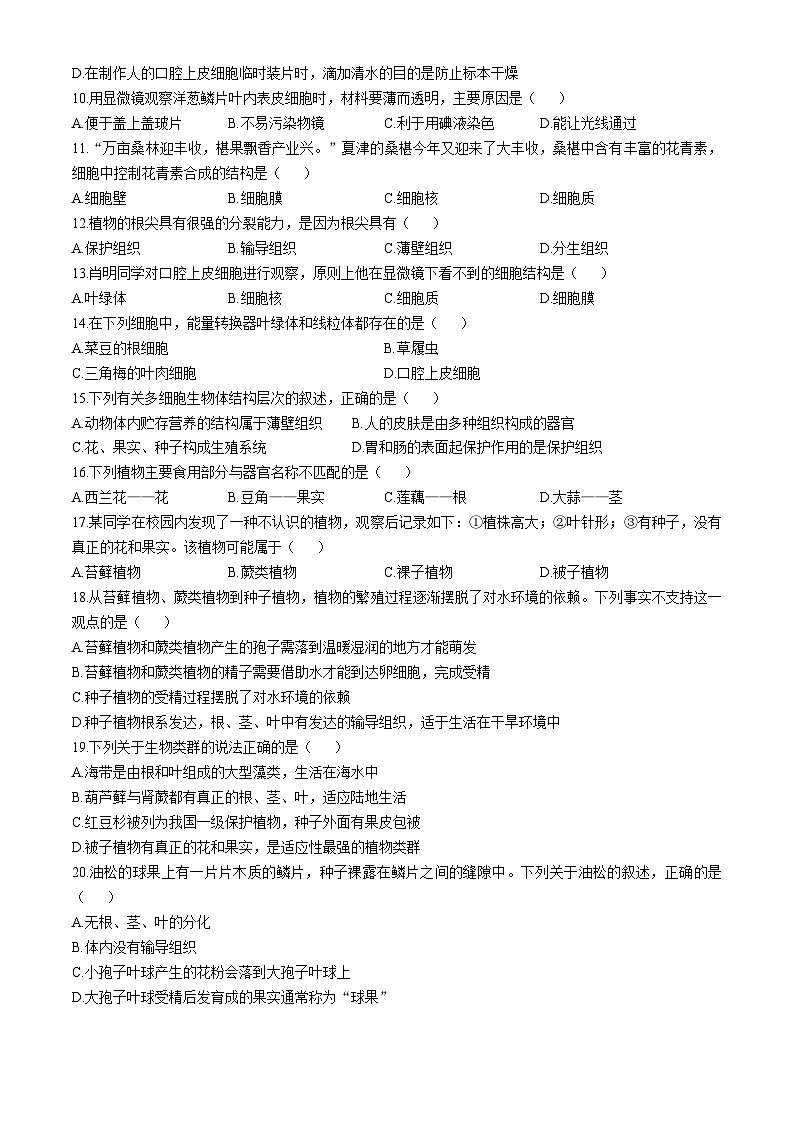 山东省德州市武城县2025-2026学年七年级上学期期中 生物学试题第3页