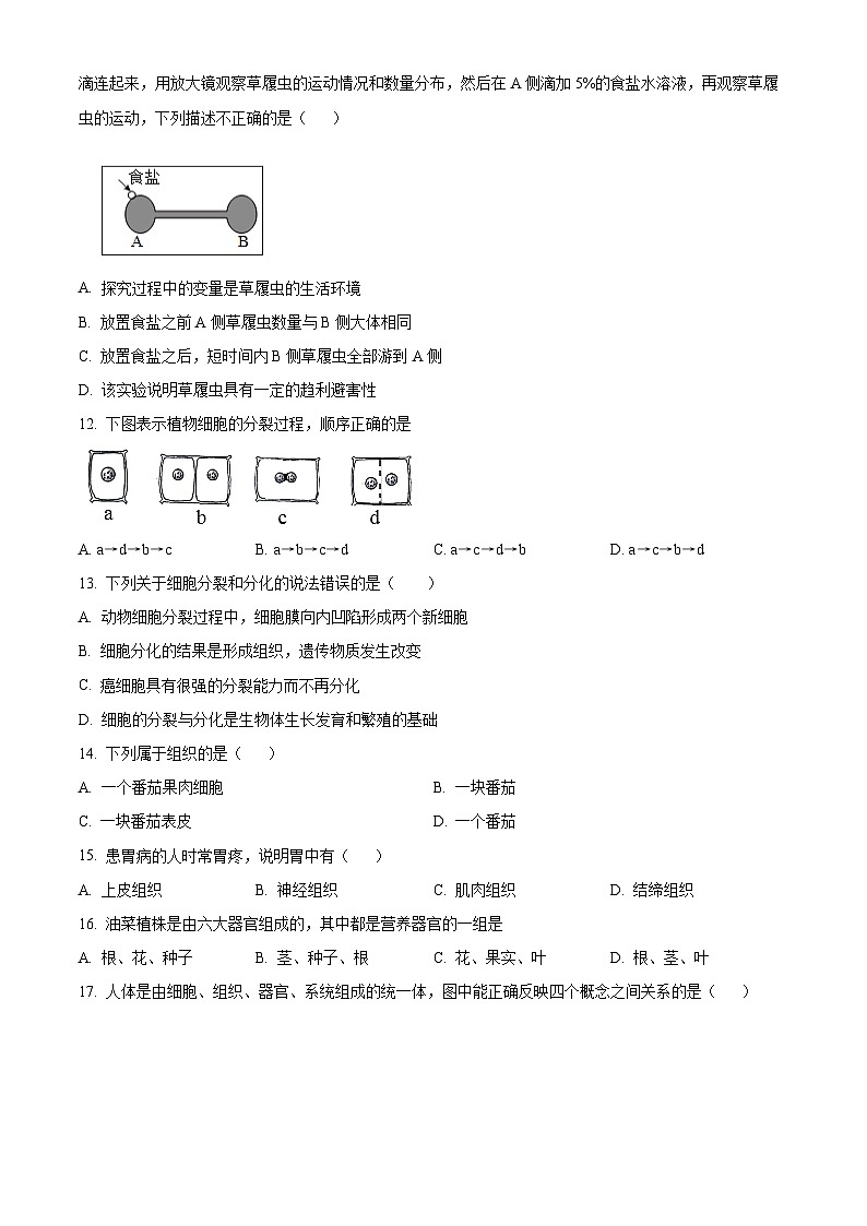 山东省菏泽市定陶区2025-2026学年七年级上学期期中 生物学试题第3页