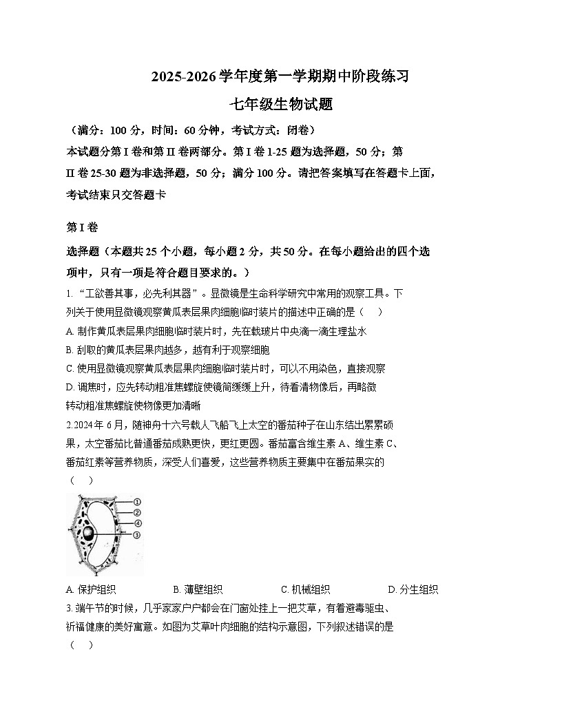 山东省济宁市汶上县2025-2026学年七年级上学期期中考试 生物试题第1页