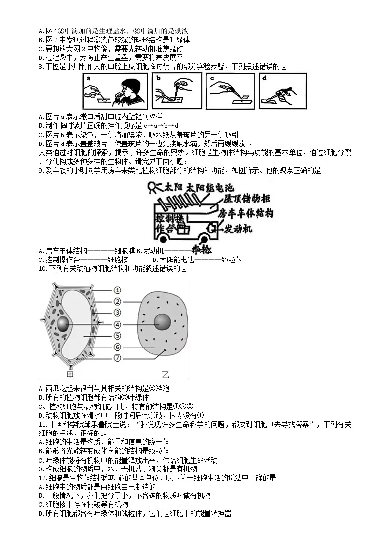山东省临沂市河东区2025-2026学年七年级上学期期中 生物试题第2页
