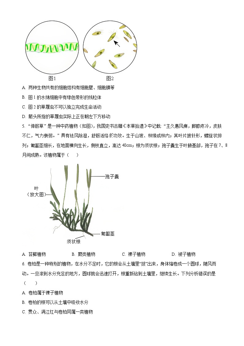 山东省日照市东港区日照港中学2025-2026学年七年级上学期期中考试 生物试题第2页