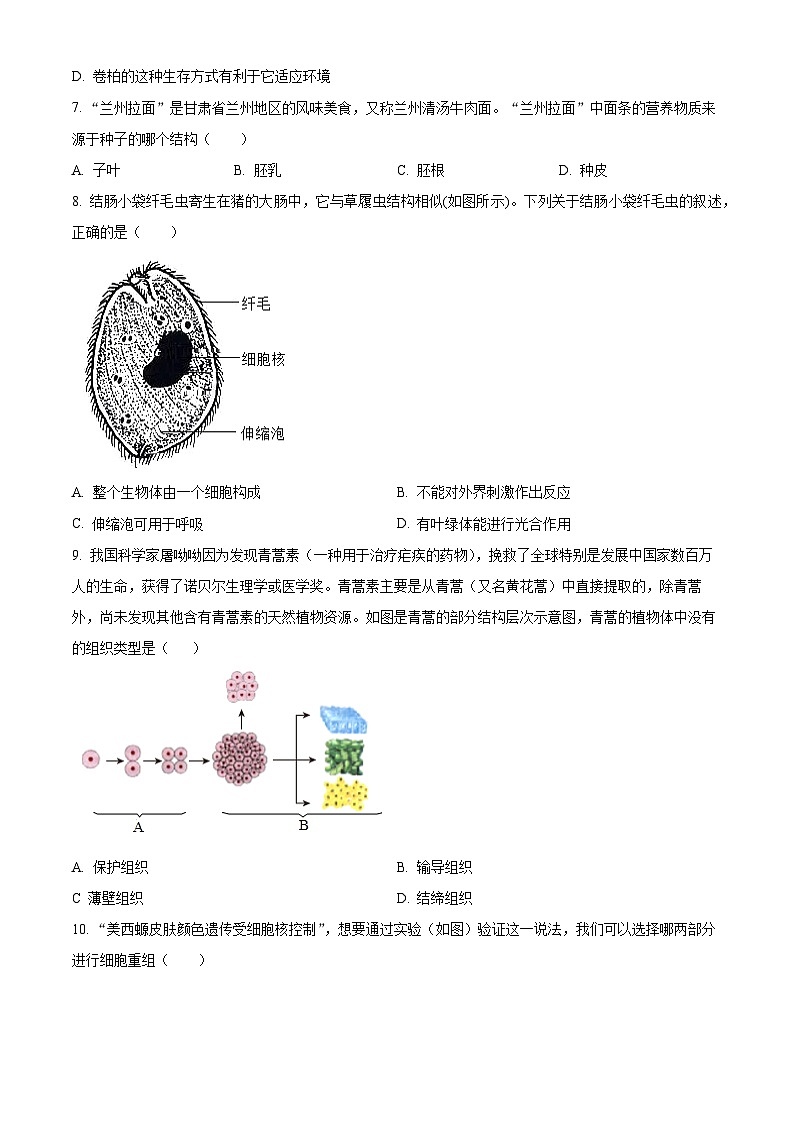 山东省日照市东港区日照港中学2025-2026学年七年级上学期期中考试 生物试题第3页