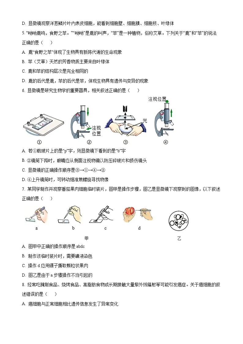 山东省潍坊市2025-2026学年七年级上学期期中 生物学试题第2页