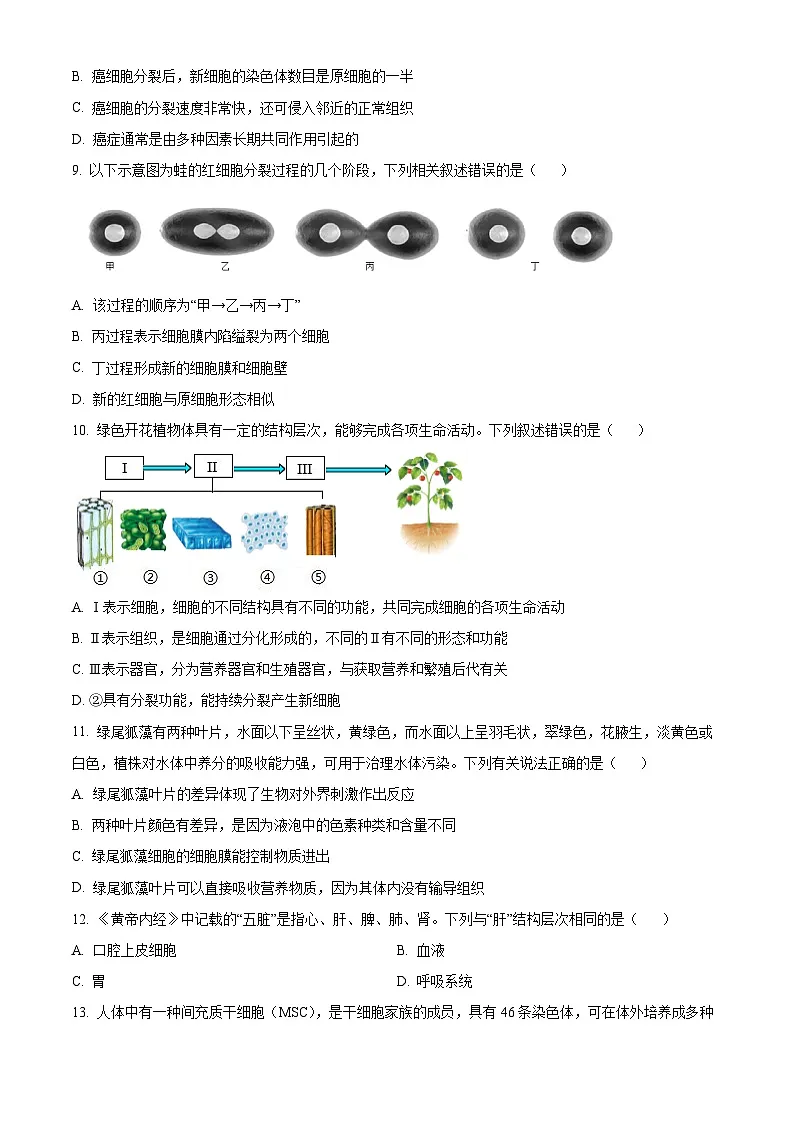 山东省潍坊市2025-2026学年七年级上学期期中 生物学试题第3页