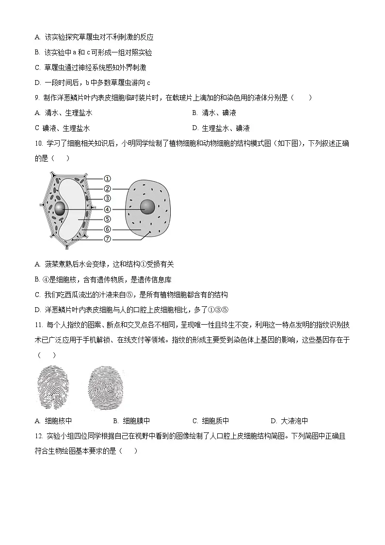 山东省枣庄市山亭区2025-2026学年七年级上学期期中 生物学试题第3页