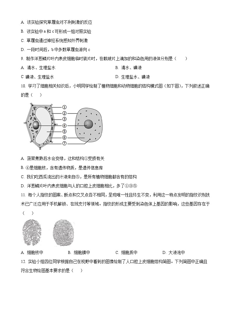 山东省枣庄市山亭区2025-2026学年七年级上学期期中 生物学试题第3页