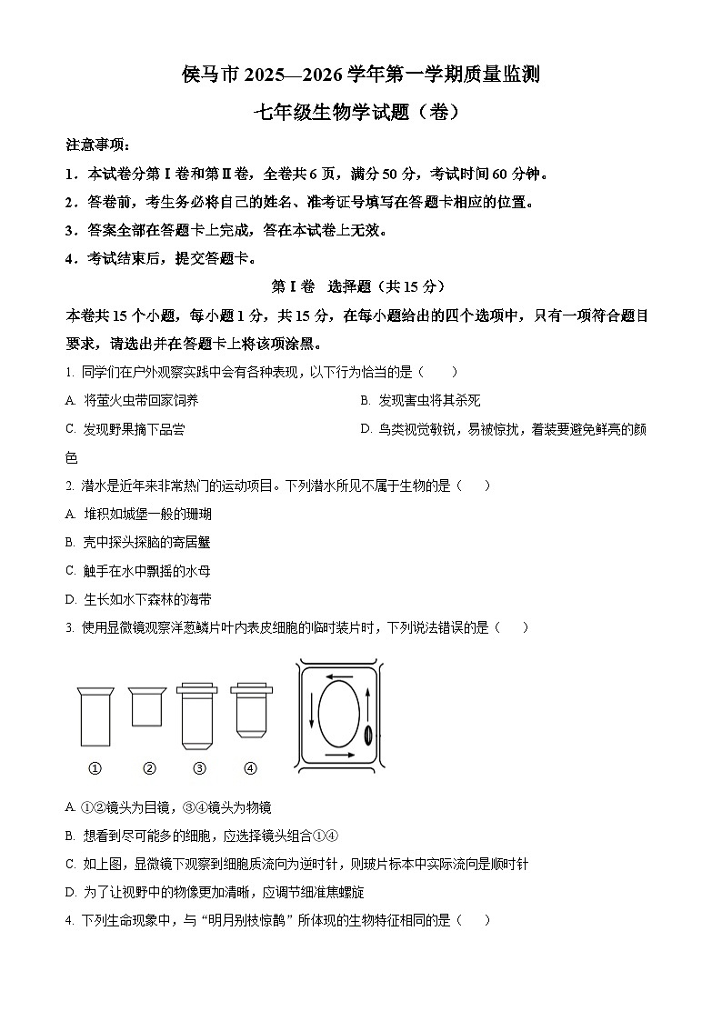 山西省临汾市侯马市2025-2026学年七年级上学期期中 生物学试题第1页