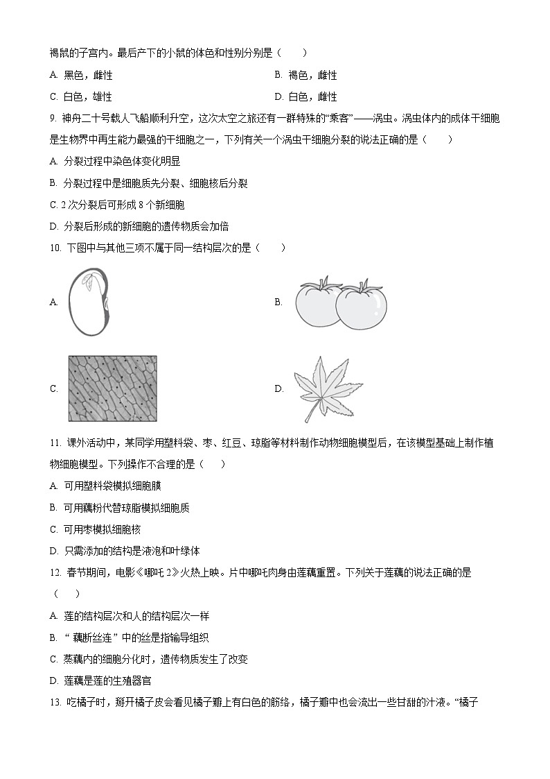山西省临汾市侯马市2025-2026学年七年级上学期期中 生物学试题第3页
