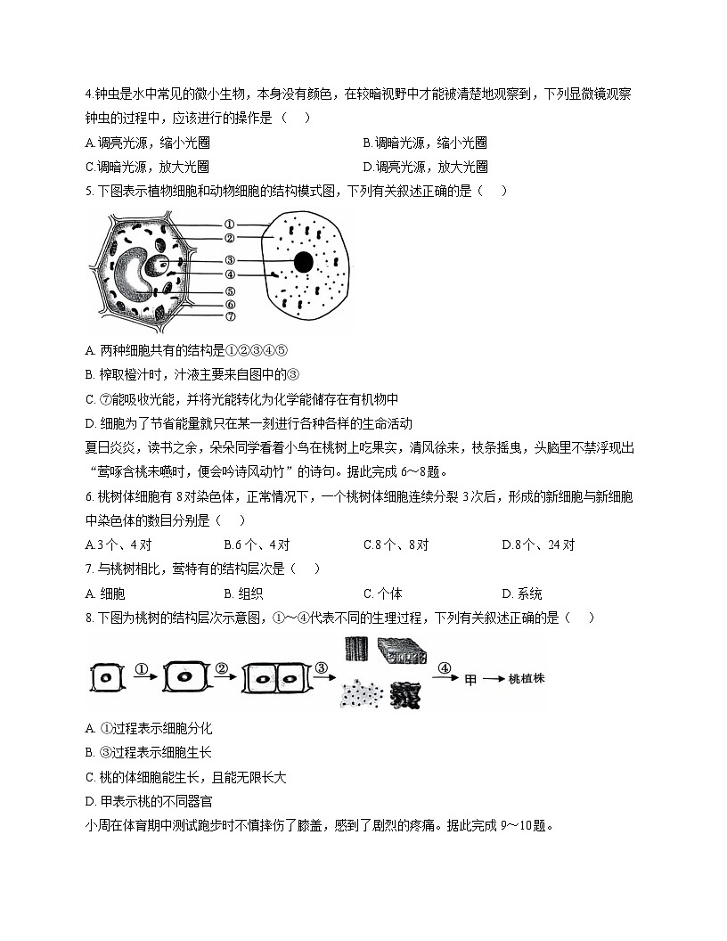 陕西省渭南市韩城市2025-2026学年七年级上学期11月期中 生物试题第2页