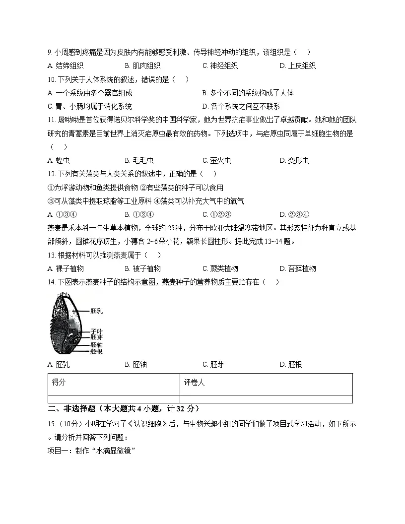 陕西省渭南市韩城市2025-2026学年七年级上学期11月期中 生物试题第3页