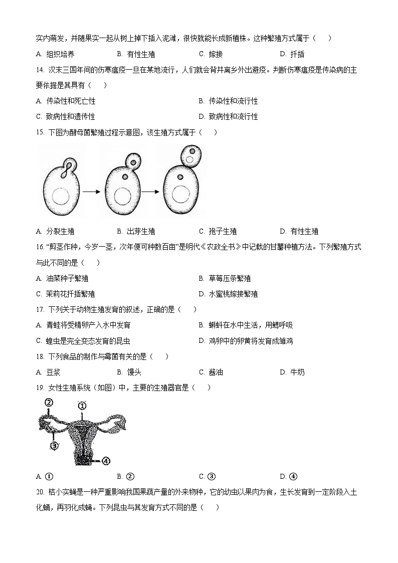 福建省泉州市四校联盟2025-2026学年八年级上学期期中 生物学试题第3页