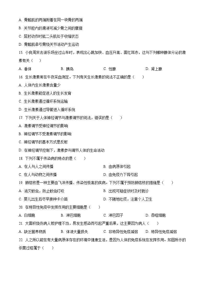 广东省汕头市潮阳区2025-2026学年八年级上学期期中 生物学试题第3页