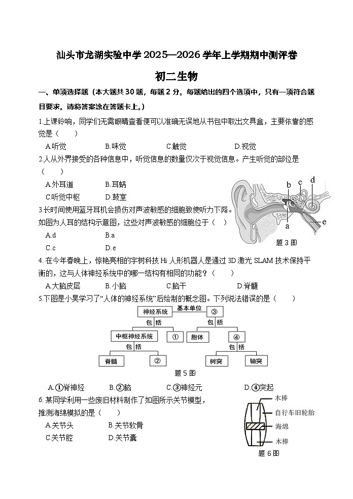 广东省汕头市龙湖实验中学2025-2026学年八年级上学期11月期中 生物试题第1页