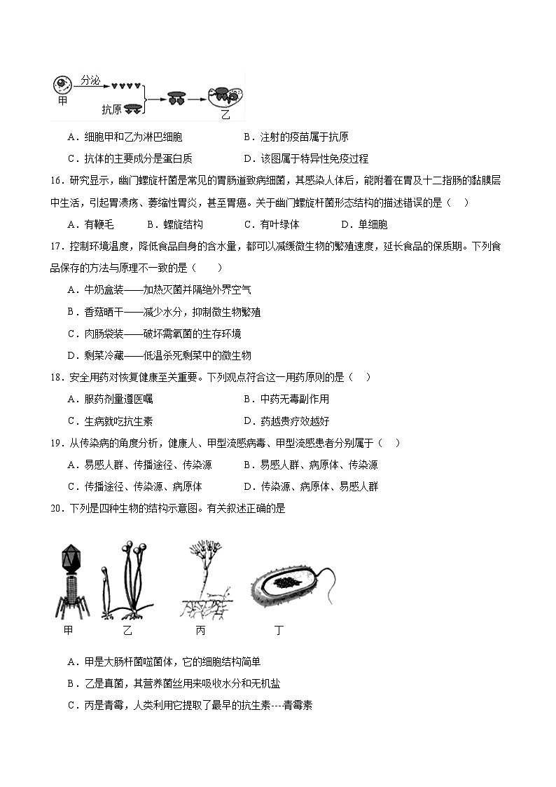 广东省韶关市新丰县2025-2026学年八年级上学期期中考试 生物试卷第3页