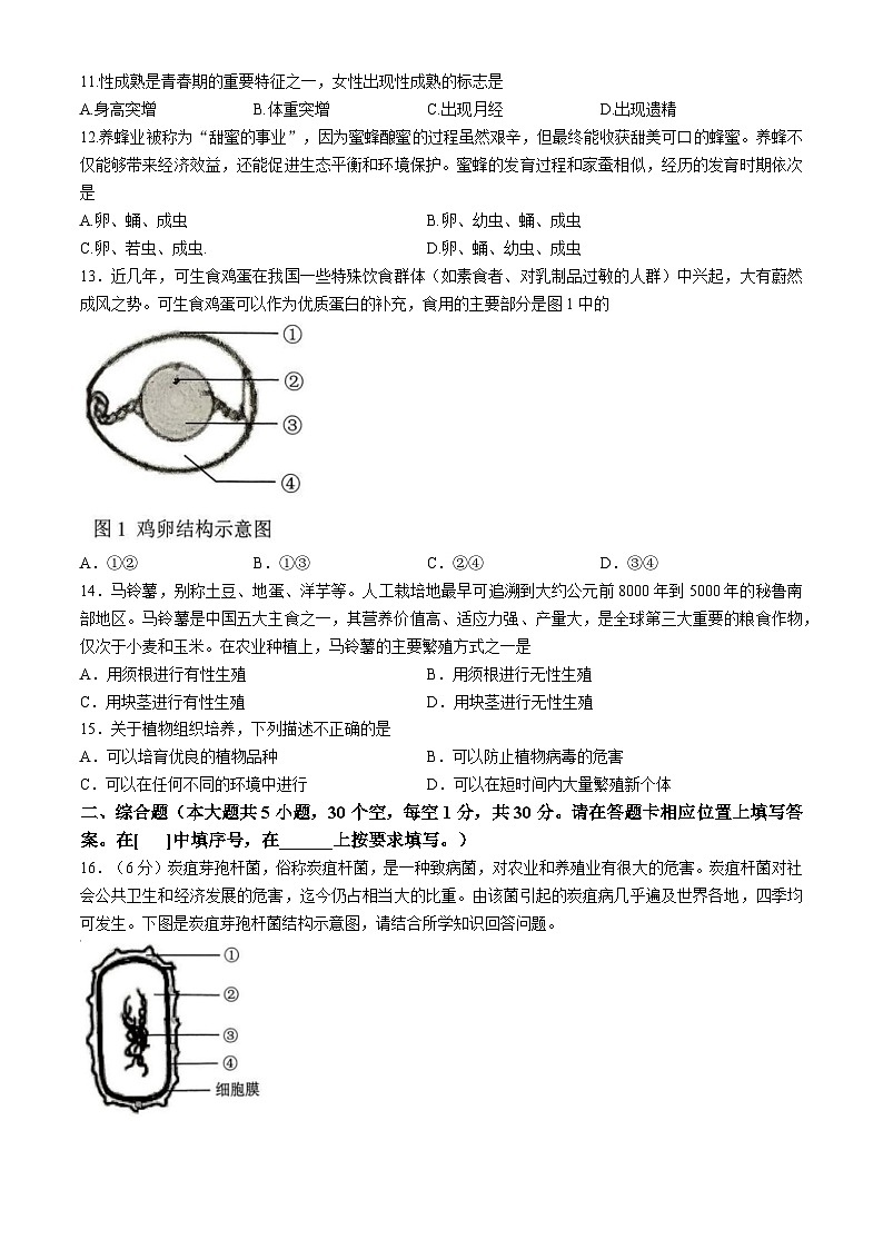 广西壮族自治区贵港市港南区2025-2026学年八年级上学期期中 生物学试题第2页