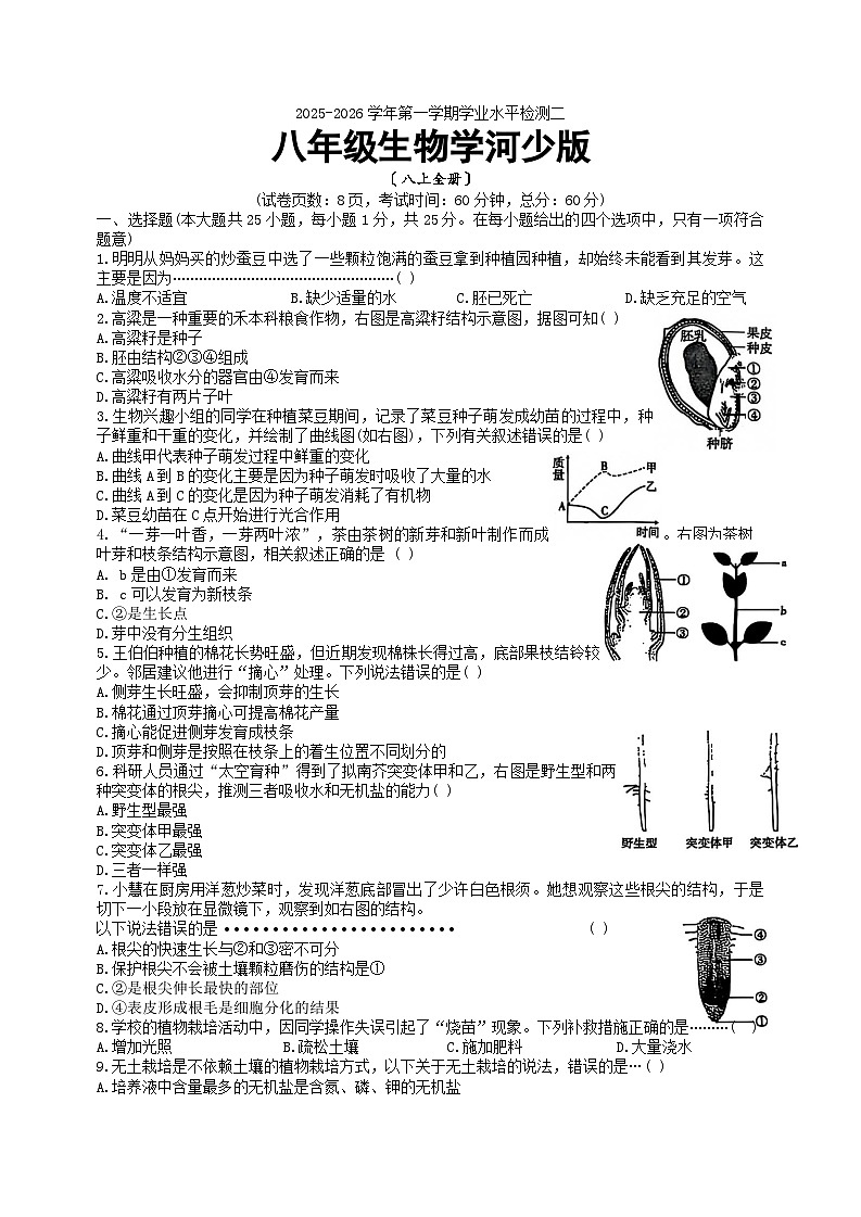 河北省衡水市枣强县2025-2026学年八年级上学期期中 生物试题第1页