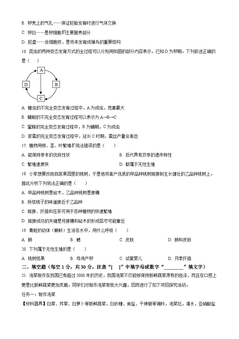 河南省开封市河南大学附属中学等校2025-2026学年八年级上学期期中 生物学试题第3页