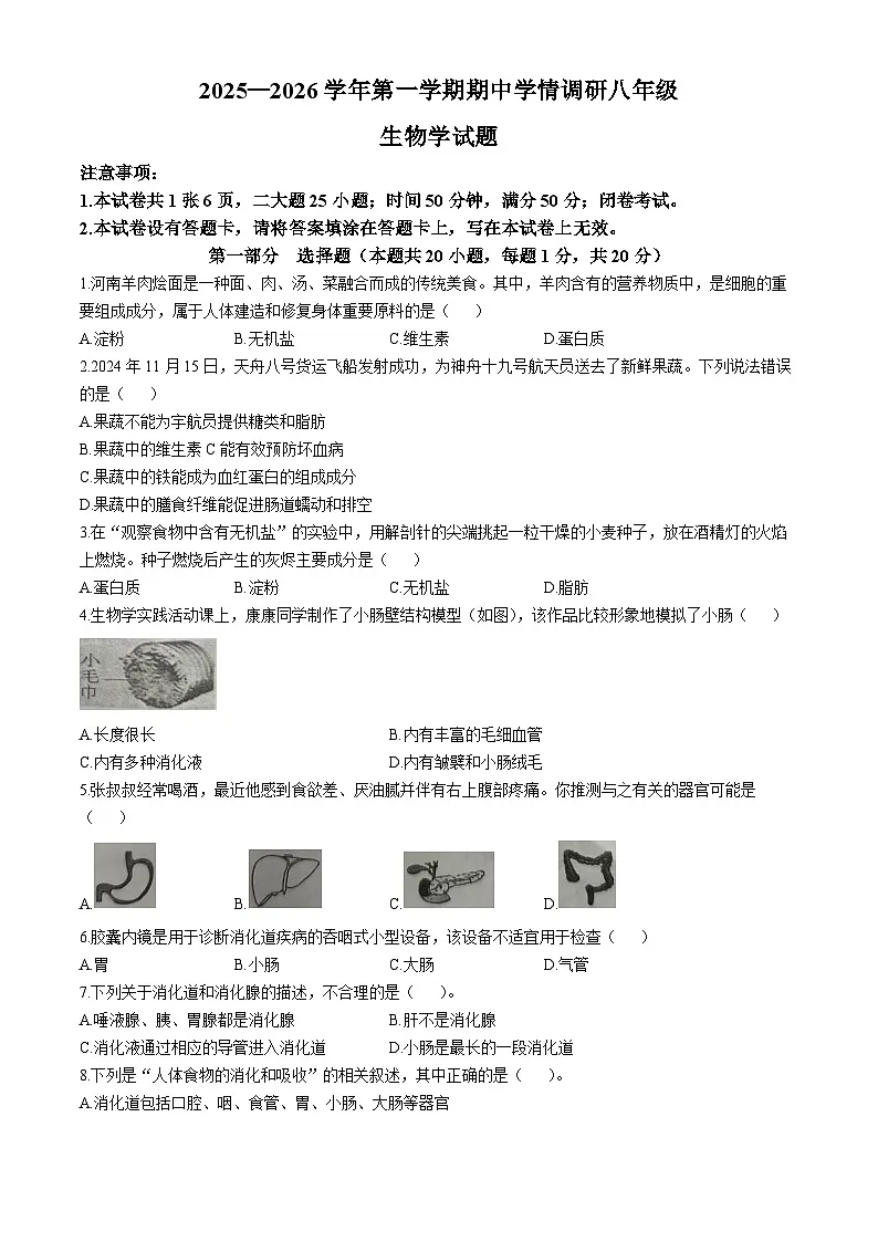 河南省洛阳市洛宁县2025-2026学年八年级上学期期中 生物试卷第1页