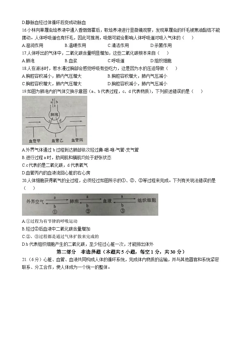 河南省洛阳市洛宁县2025-2026学年八年级上学期期中 生物试卷第3页