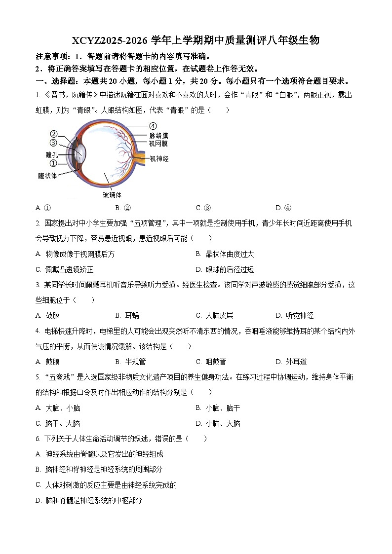 河南省许昌市第一中学2025-2026学年八年级上学期期中 生物学试题第1页