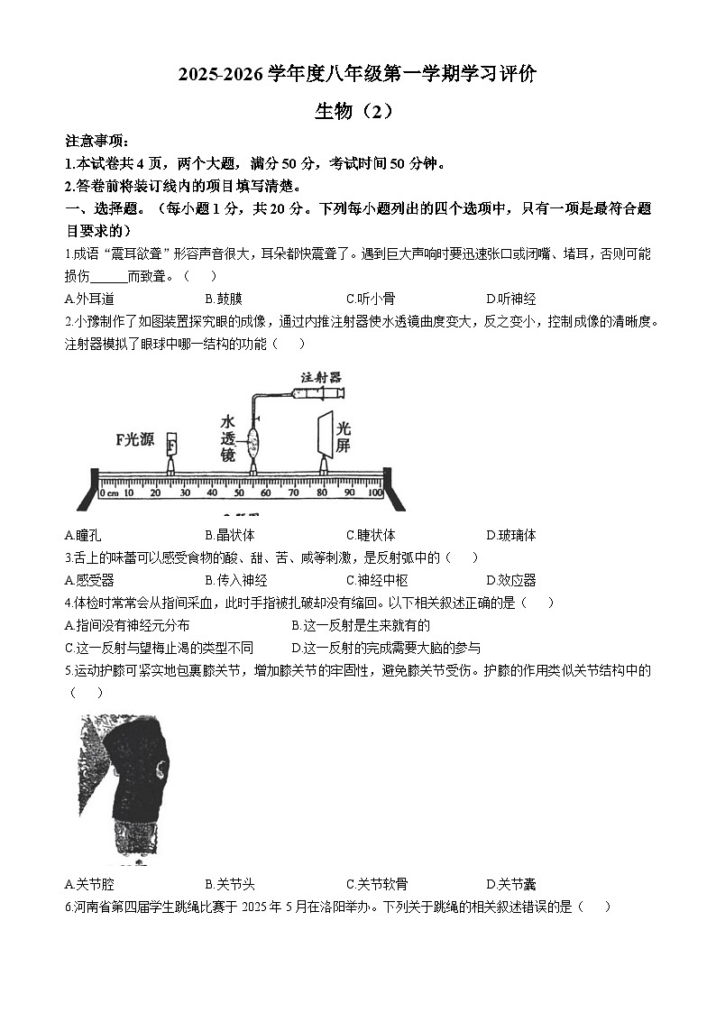 河南省周口市淮阳区2025-2026学年八年级上学期期中 生物学试题第1页
