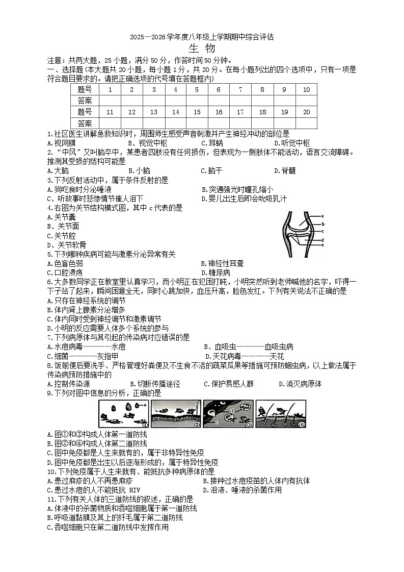 河南省周口市商水县2025-2026学年八年级上学期11月期中考试 生物试题第1页