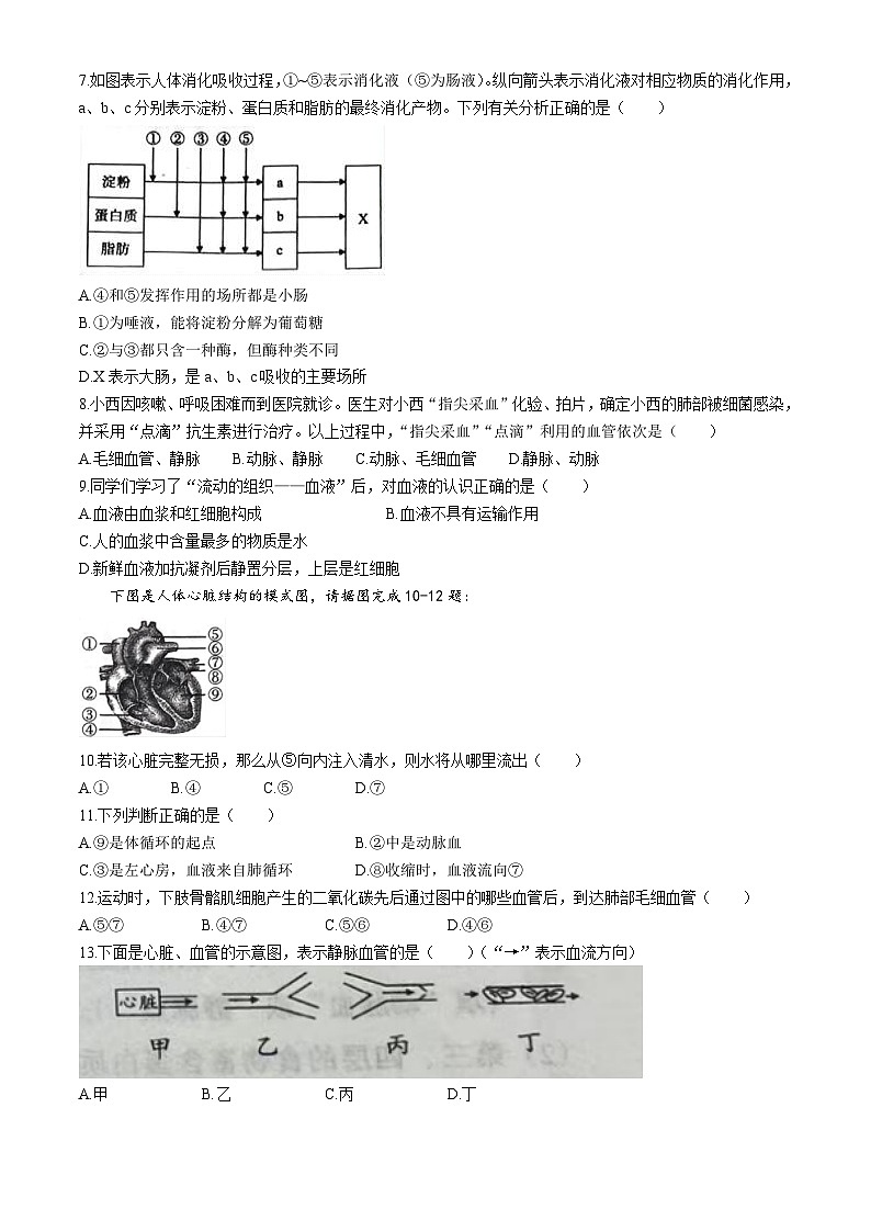 河南省周口市太康县2025-2026学年八年级上学期期中 生物学试题第2页
