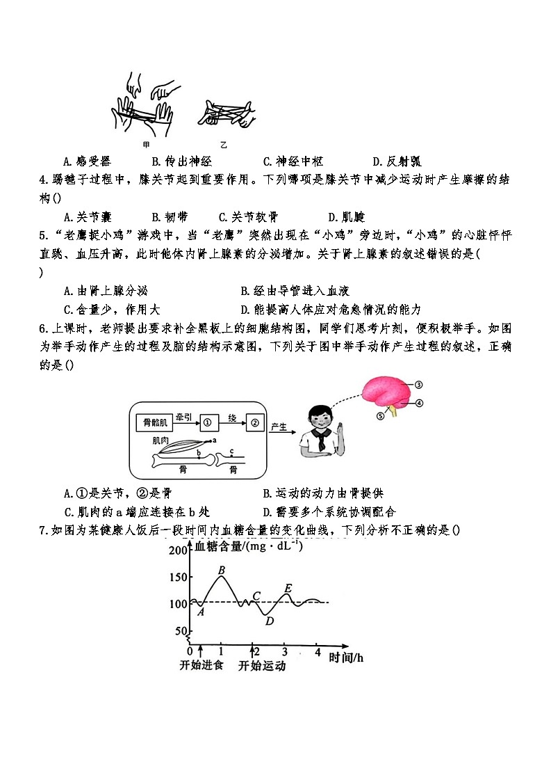 湖北省襄阳市襄州区2025-2026学年八年级上学期11月期中 生物试题第2页