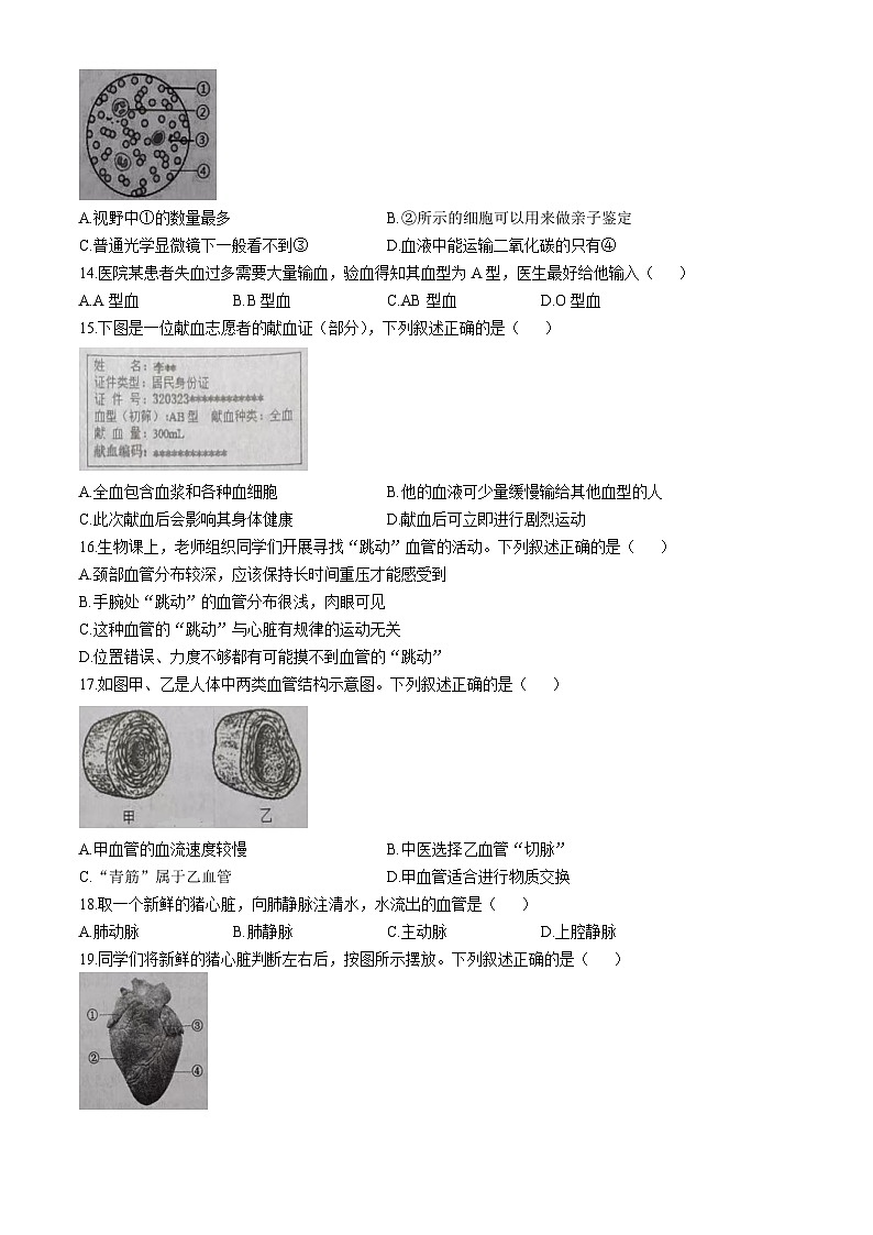 江苏省徐州市铜山区2025-2026学年八年级上学期期中 生物试题第3页