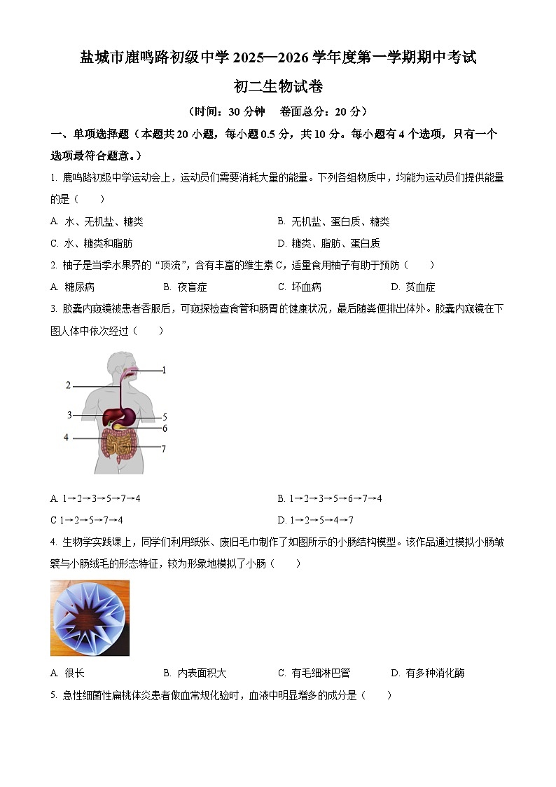江苏省盐城市鹿鸣路初级中学2025-2026学年八年级上学期期中 生物学试题第1页