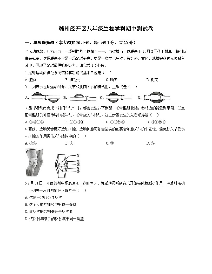 江西省赣州市经开区2025-2026学年八年级上学期期中考试 生物试题第1页