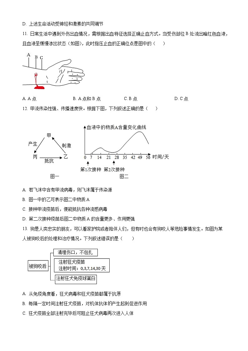 江西省萍乡市2025-2026学年八年级上学期期中 生物学试题第3页
