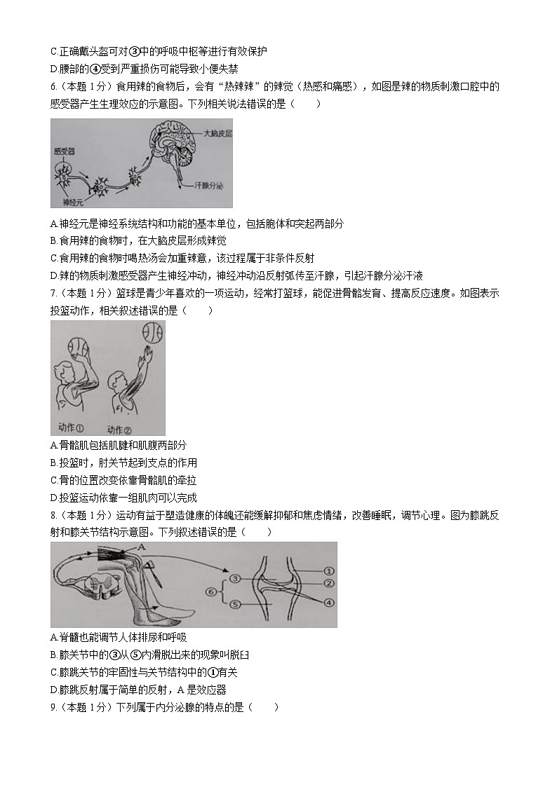 江西省上饶市铅山县2025-2026学年八年级上学期期中 生物学试题第2页