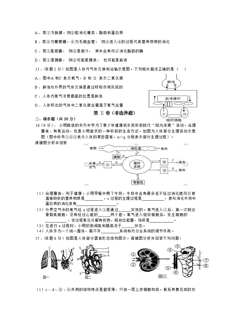 辽宁省鞍山市海城市2025-2026学年八年级上学期 生物11月期中试卷第3页