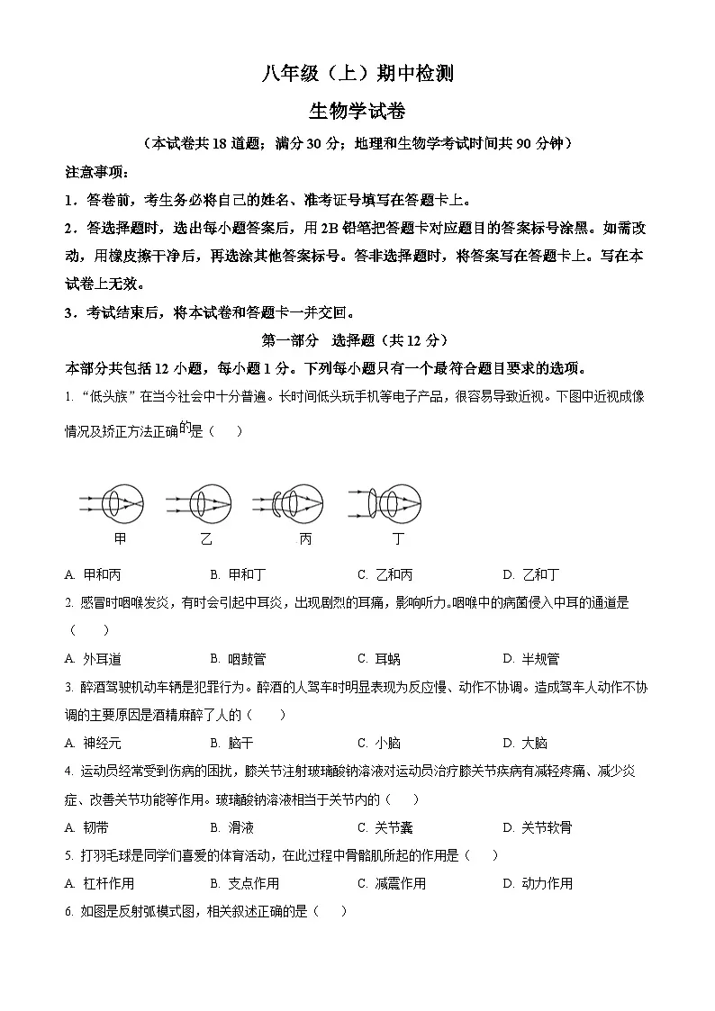 辽宁省大连市高新区2025-2026学年八年级上学期期中 生物试卷第1页