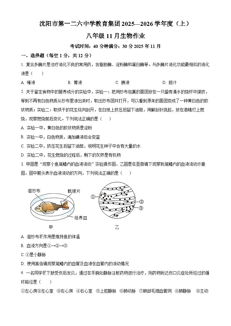 辽宁省沈阳市沈阳市第一二六中学教育集团2025-2026学年八年级上学期期中 生物学试题第1页