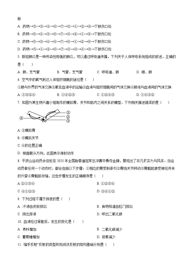 辽宁省沈阳市沈阳市第一二六中学教育集团2025-2026学年八年级上学期期中 生物学试题第2页