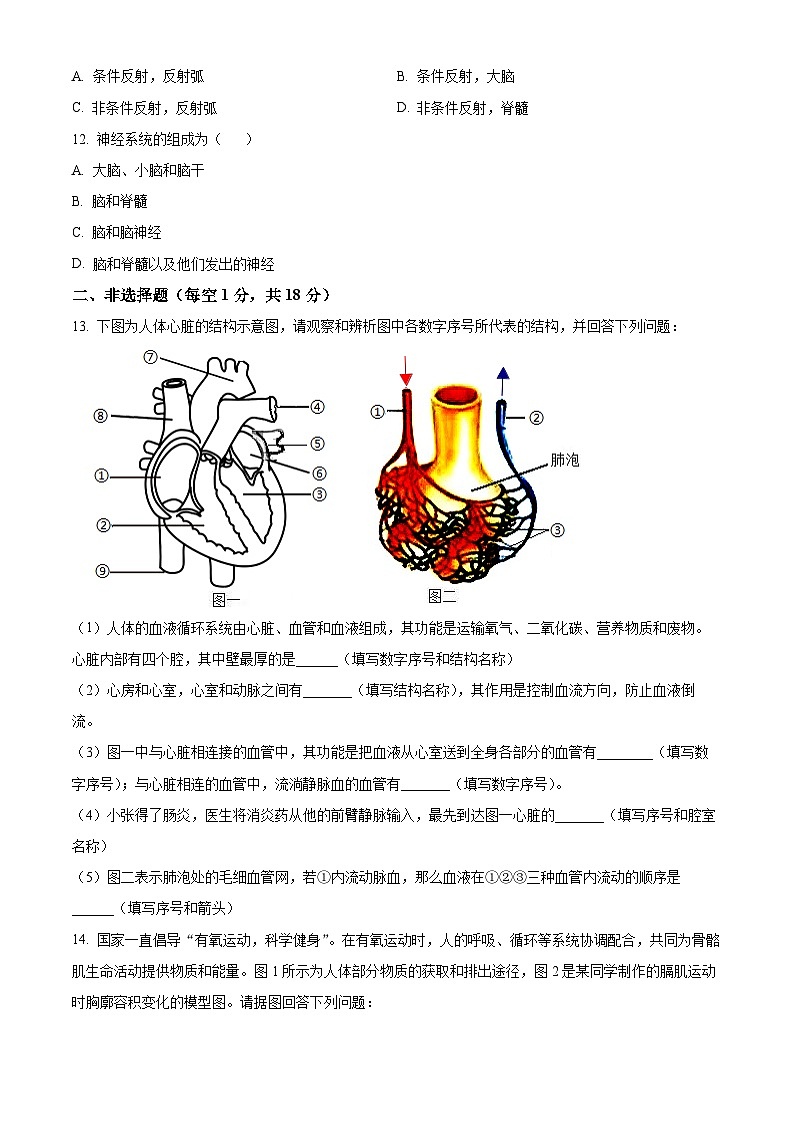 辽宁省沈阳市沈阳市第一二六中学教育集团2025-2026学年八年级上学期期中 生物学试题第3页