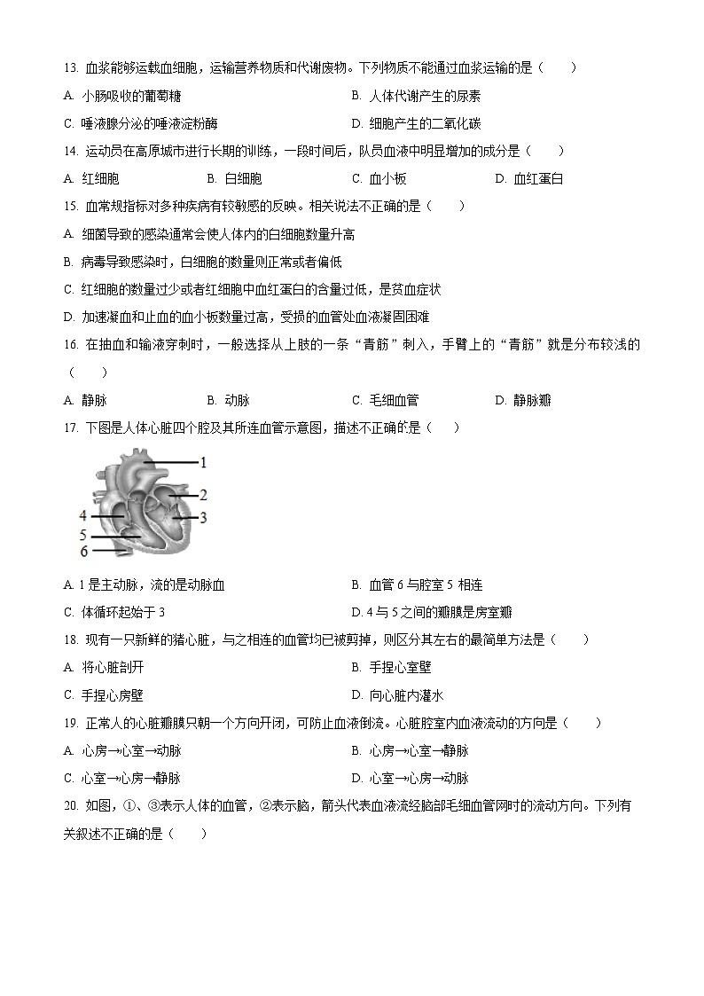 山东省济宁市邹城市2025-2026学年八年级上学期期中 生物学试题第3页