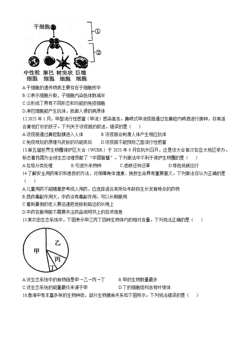 山东省聊城市东阿县2025-2026学年八年级上学期期中 生物学试题第3页