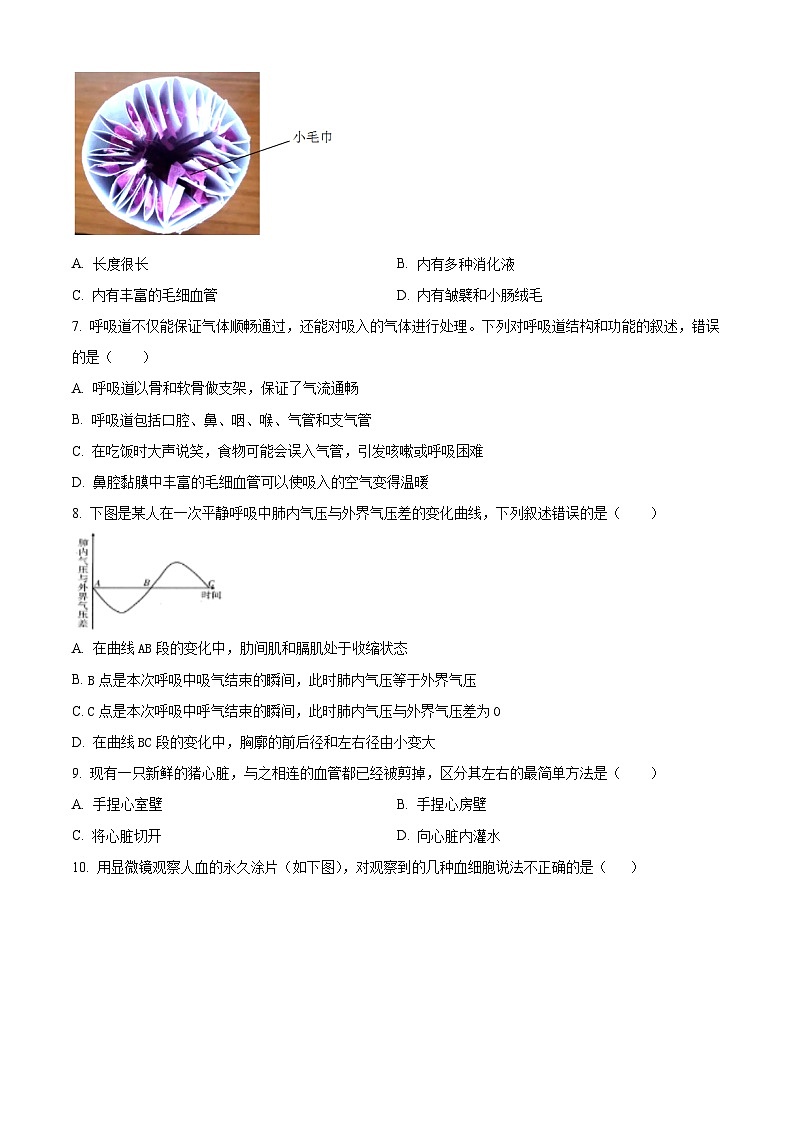 山东省枣庄市峄城区2025-2026学年八年级上学期期中 生物学试题第2页